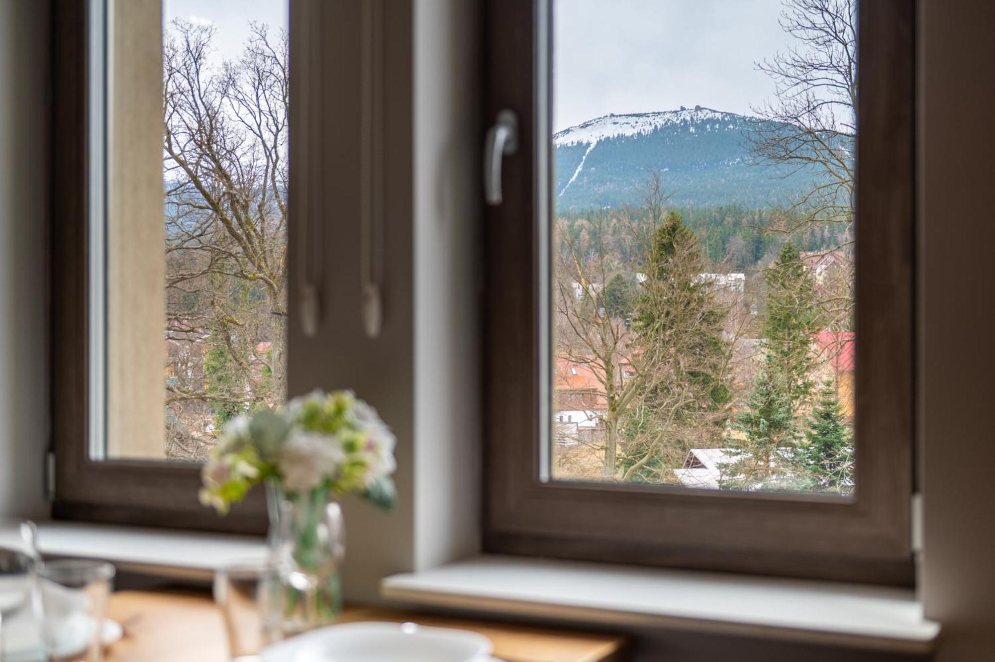 Dream View