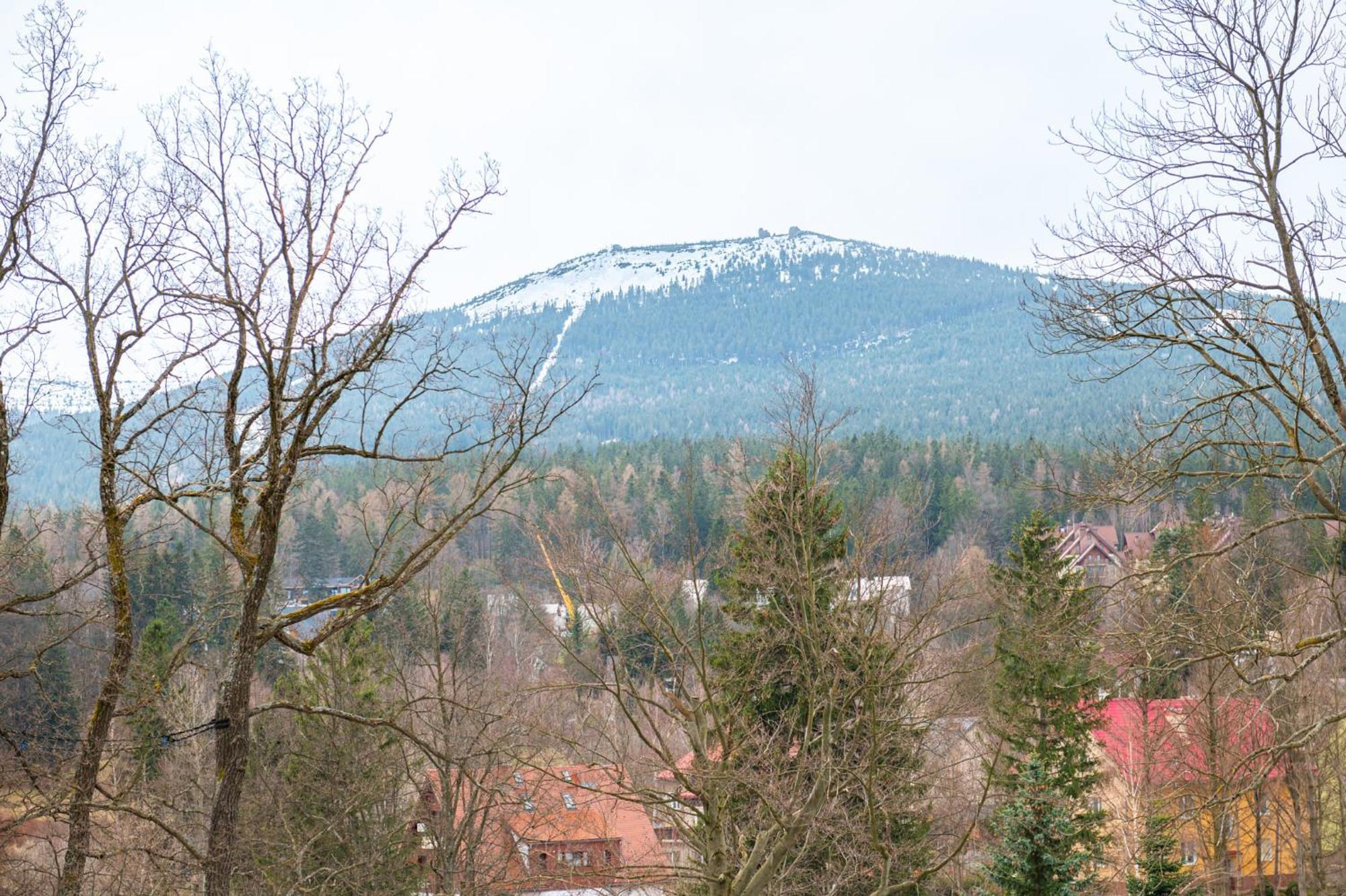 Leilighet Dream View