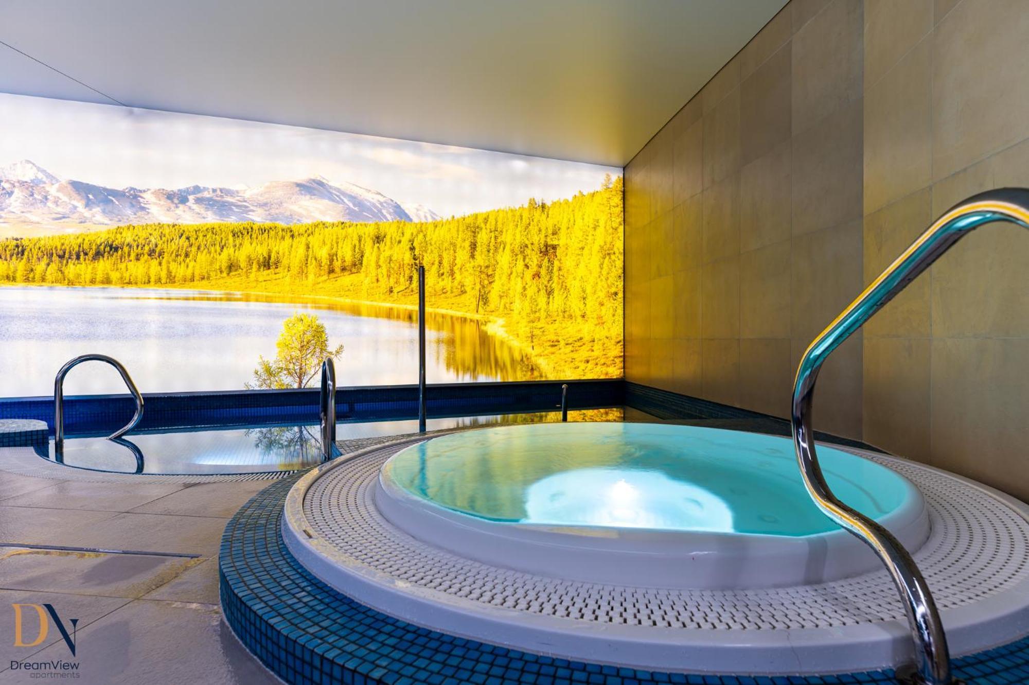 Dream View